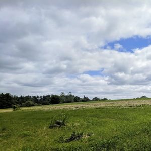 Meet your Posher, Emilia